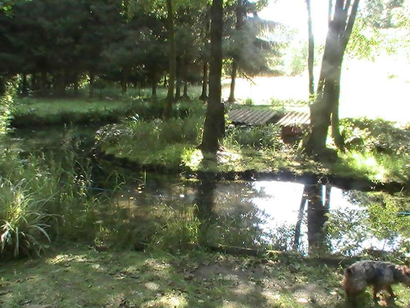 Gite De La Baerenbach Haselbourg Dış mekan fotoğraf